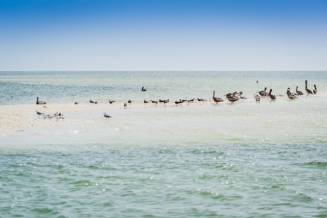 Ten Thousand Island Jet Ski Eco Tour - Marco Island - What to Bring and What to Expect on the Water