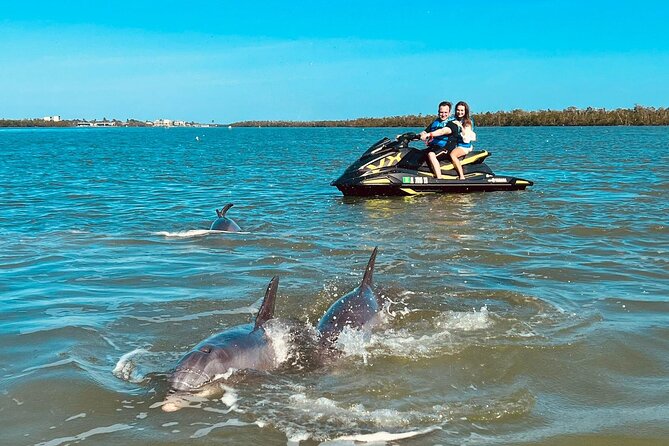 Ten Thousand Island Jet Ski Eco Tour - Marco Island - Looking for Dolphins, Manatees, and Birds