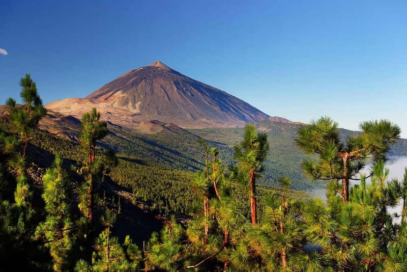 Tenerife: Jet Ski Tour with Optional Quad Trip - Key points to know before you book